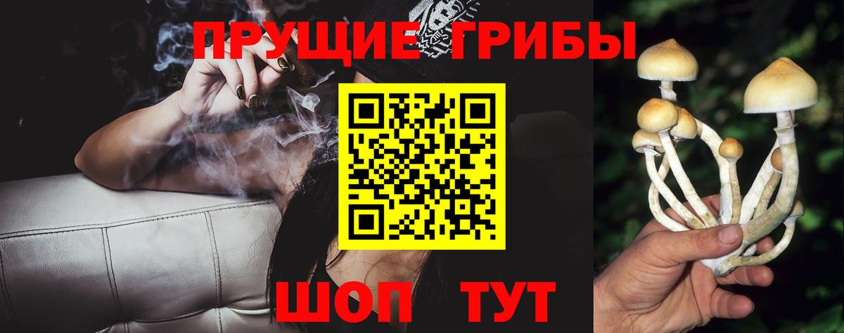 Гусиноозёрск  Галлюциногенные грибы мухоморы  Вход с VPN  Псилоцибиновые грибы ЛСД 